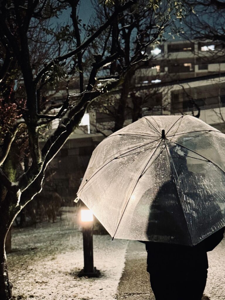 women of today img 20250304 wa0090 (1)