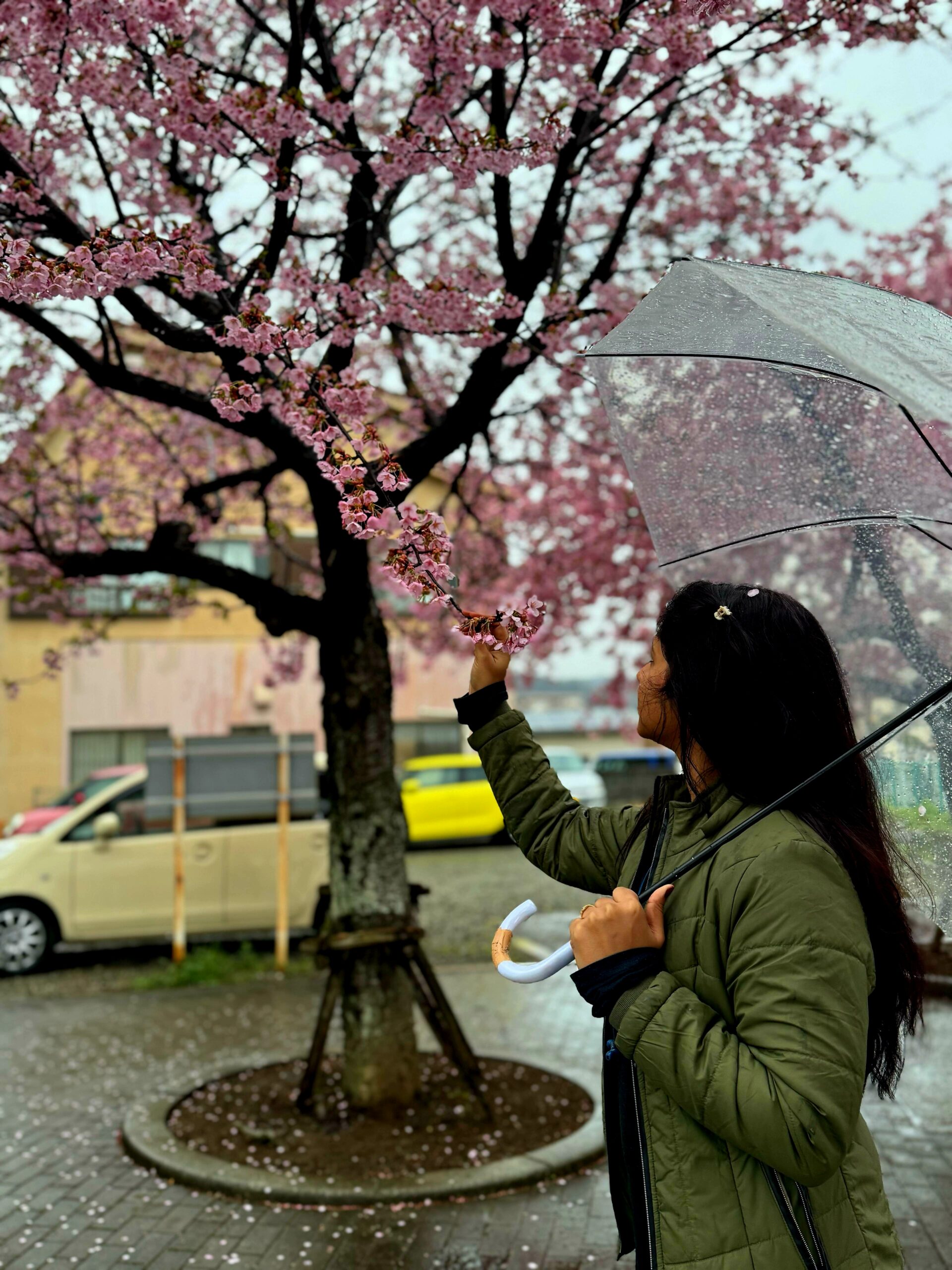 life and happiness in small things img 20250315 wa0138